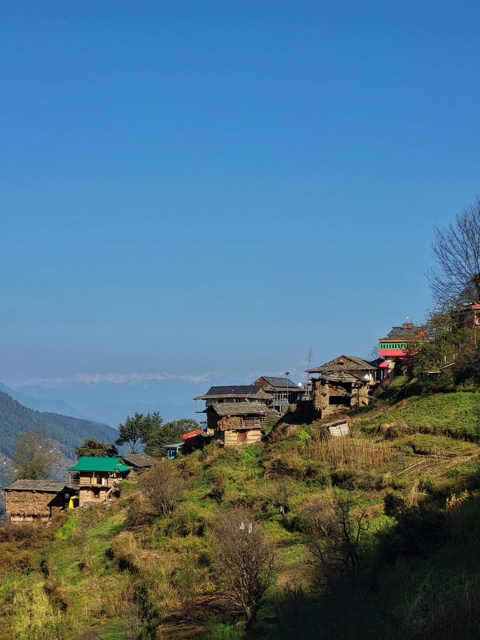 Terraced fields and hillside village at Khonoma, Nagaland