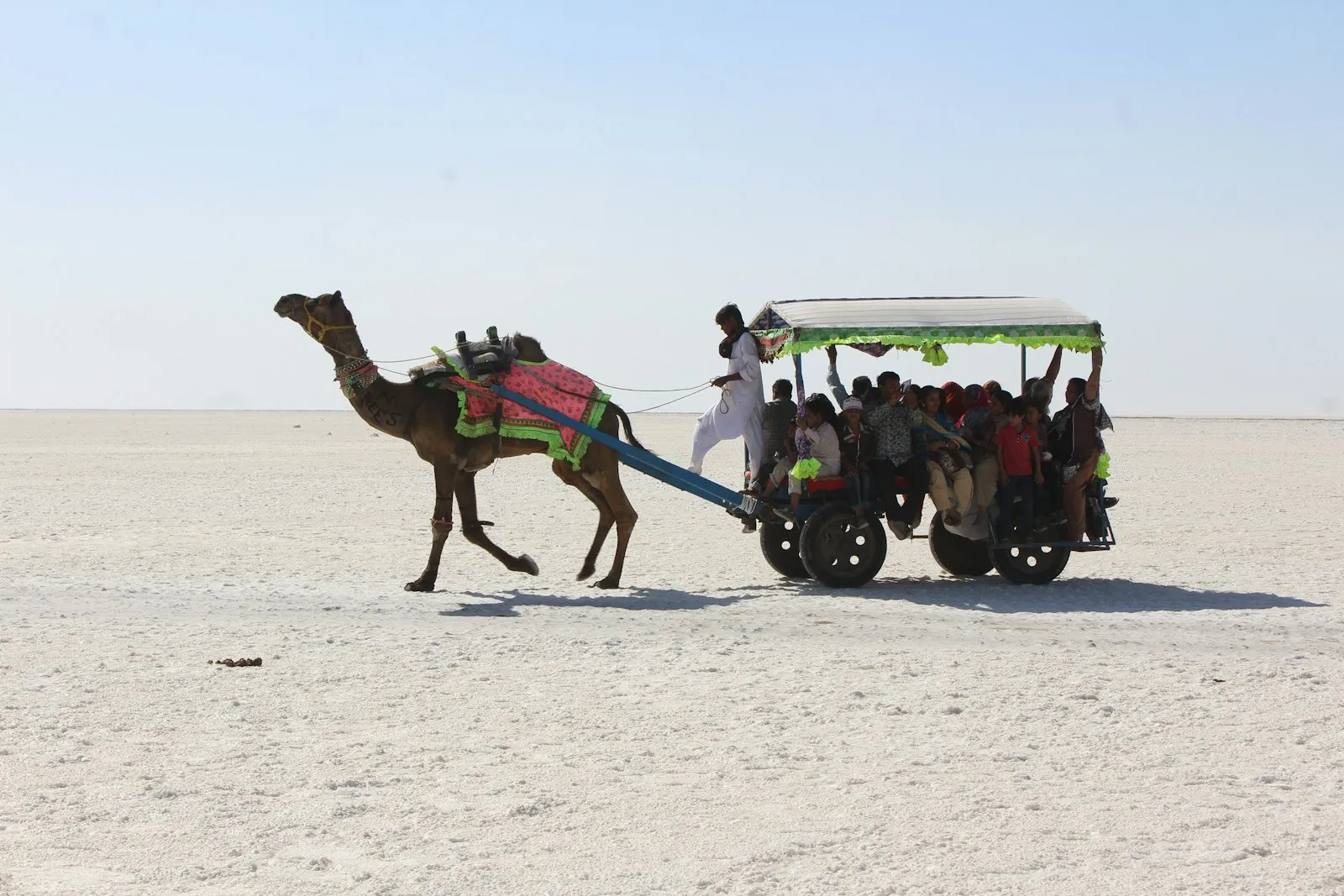 A traditional camel cart carrying visitors across the white flats of the Rann of Kutch during Rann Utsav