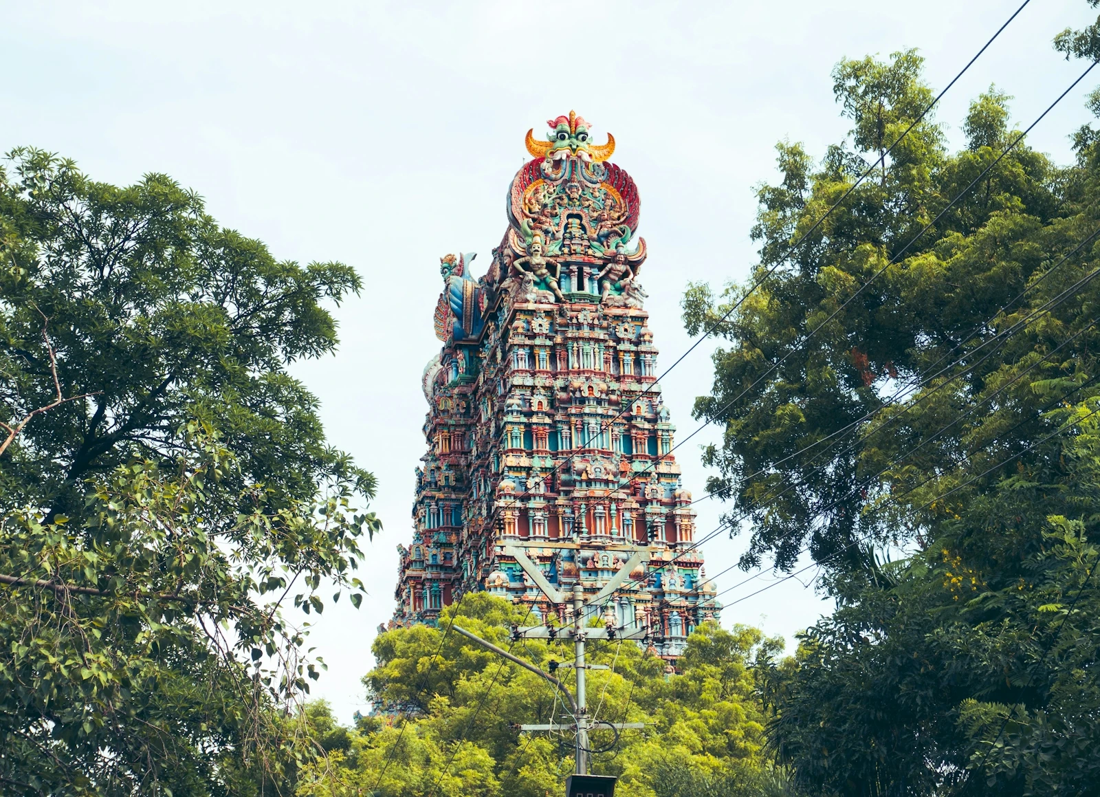 A tall, sculpture-covered gopuram gate tower rising over a South Indian temple in Tamil Nadu
